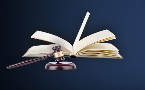 勐海-首屏背景图